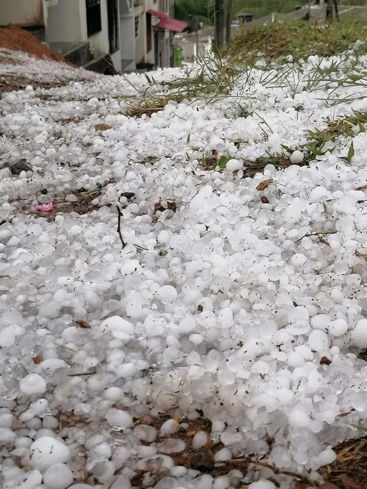 El granizo perforó los techos, arrasó con los cultivos y rompió lo vidrios de los vehículos. Crédito: Suministrada.