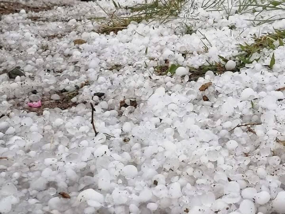 Granizada en el centro del Cauca arrasó con los cultivos y dejó decenas de damnificados