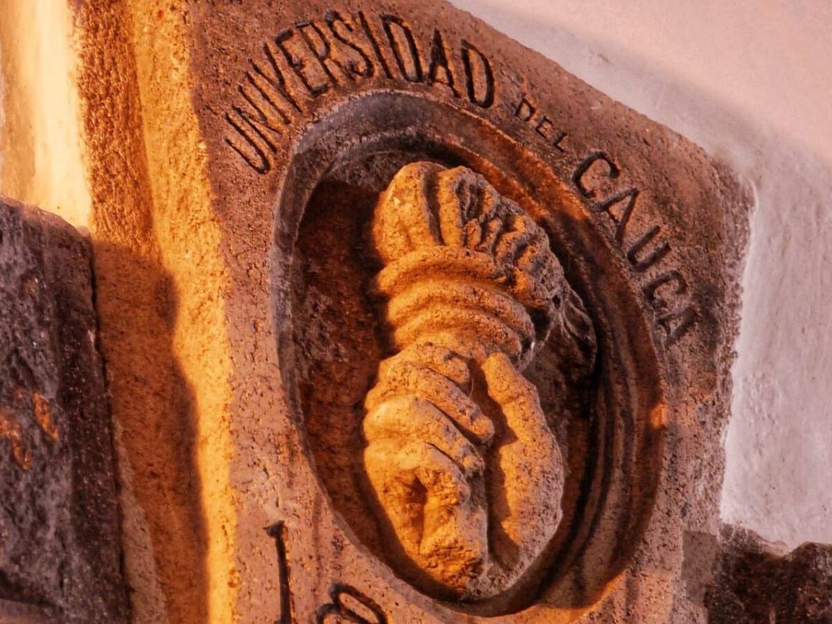 Consejo de Estado sigue investigando grados irregulares en la Universidad del Cauca