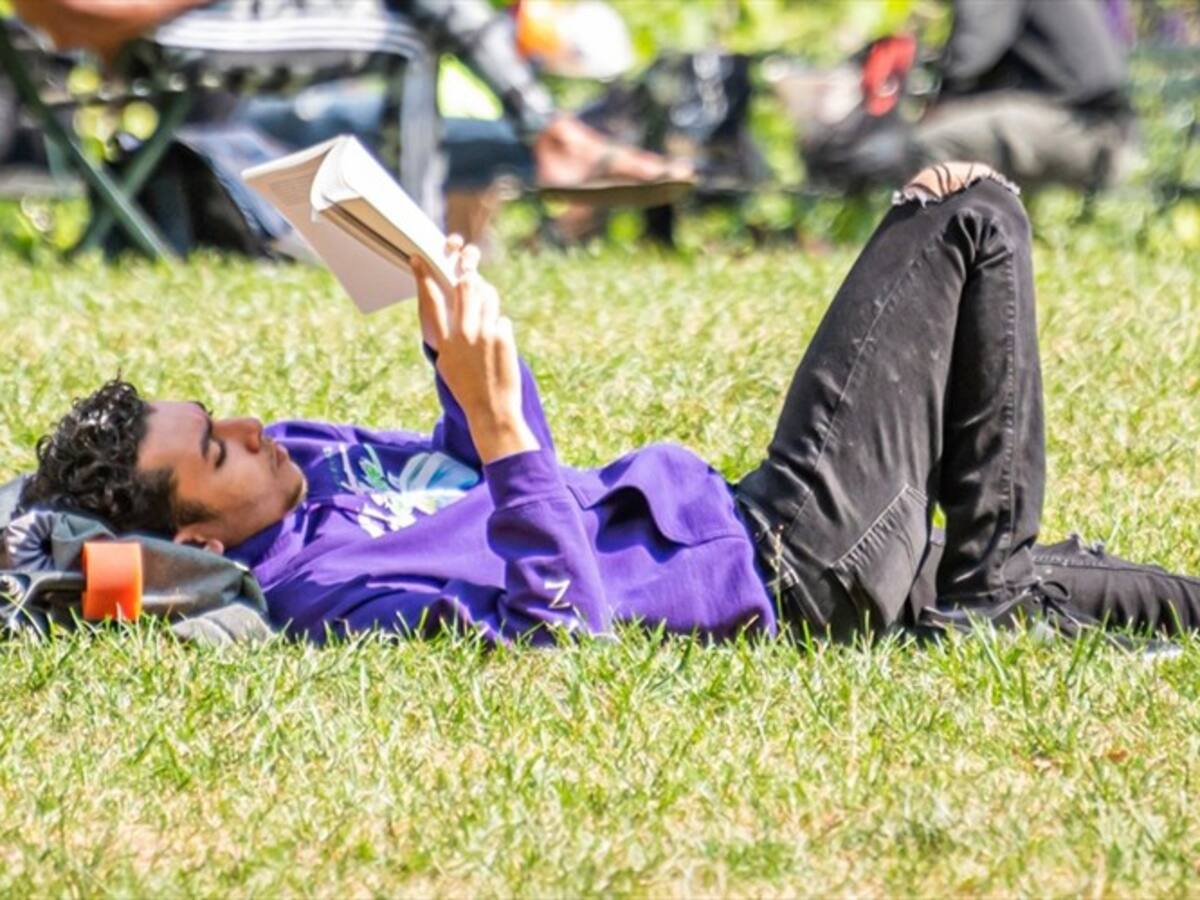 ‘Noviembre independiente’, el evento para amantes de la literatura