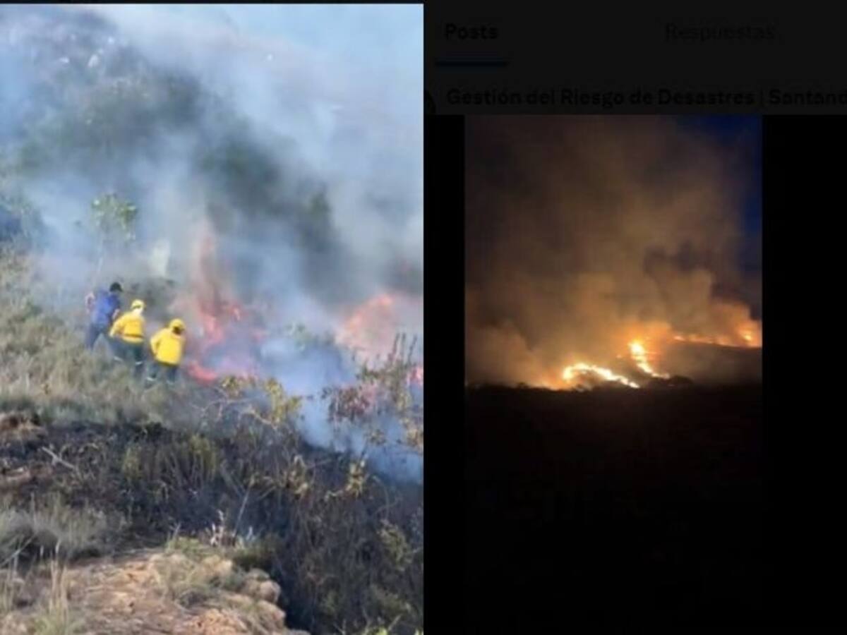 Fue controlado un incendio forestal en Betulia, Santander: 25 hectáreas se habrían perdido