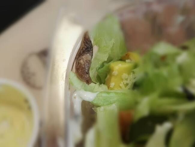 Cliente encuentra babosa en su ensalada de El Corral. Foto: Archivo Particular La W.