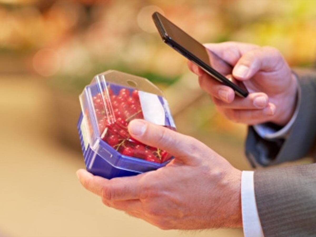 'Olio', la app en la que podrá compartir comida