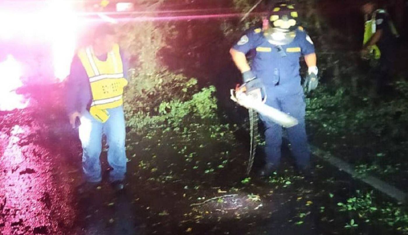 Vendaval en La Dorada, Caldas. Crédito: Secretaría de Medio Ambiente de Caldas.