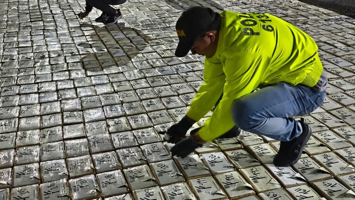 Policía incauta 1,3 toneladas de coca en Pereira; estaría vinculada a disidencias de ‘Iván Mordisco’