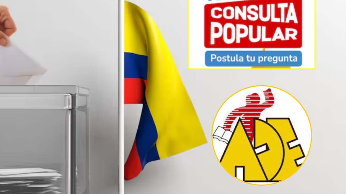 Maestros del Distrito no participarán en el paro, pero harán pedagogía a favor de consulta popular
