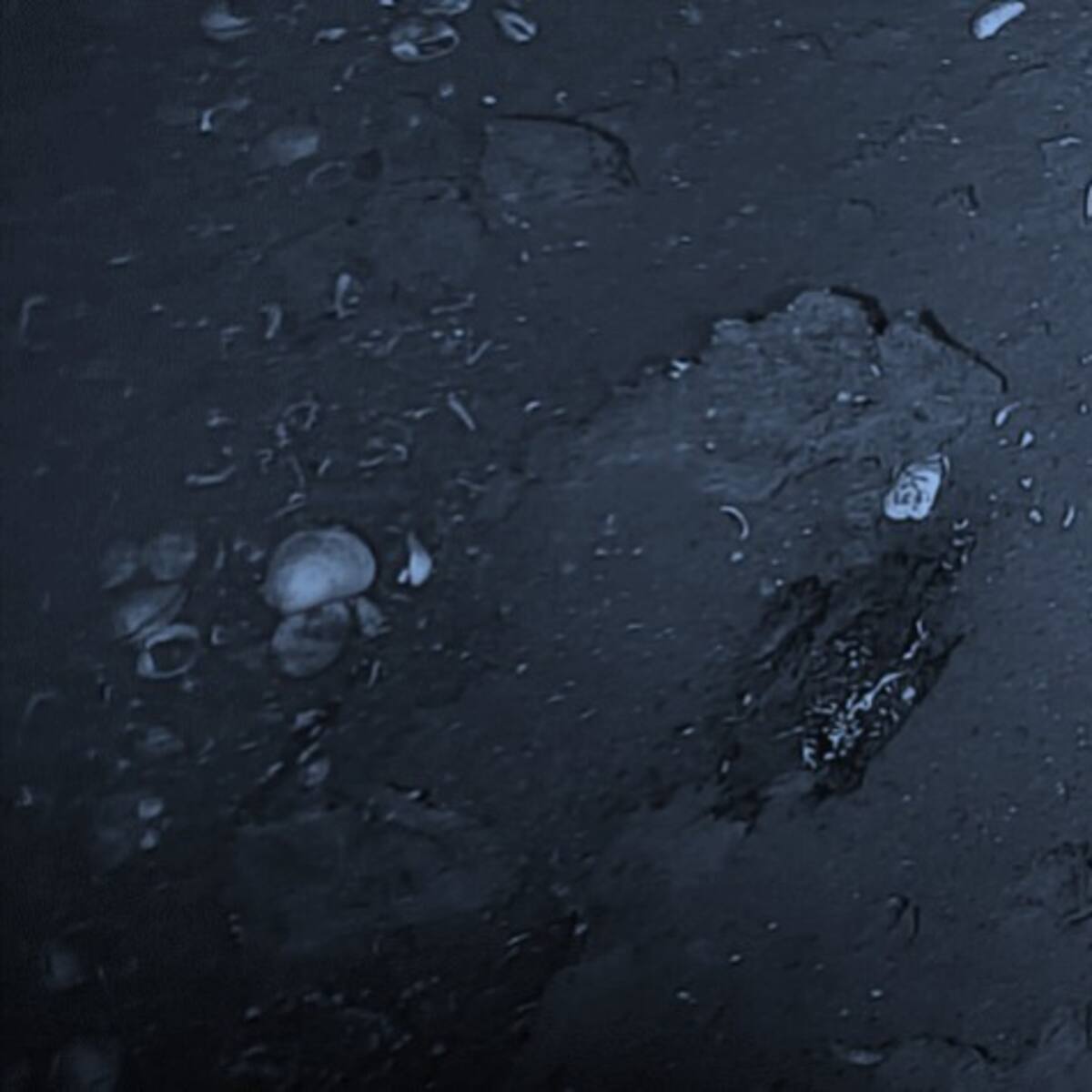 Linsey Jhon Swann, el capitán mercante inglés que descubrió el Galeón San José