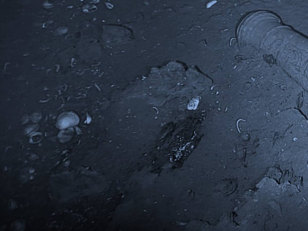 Linsey Jhon Swann, el capitán mercante inglés que descubrió el Galeón San José