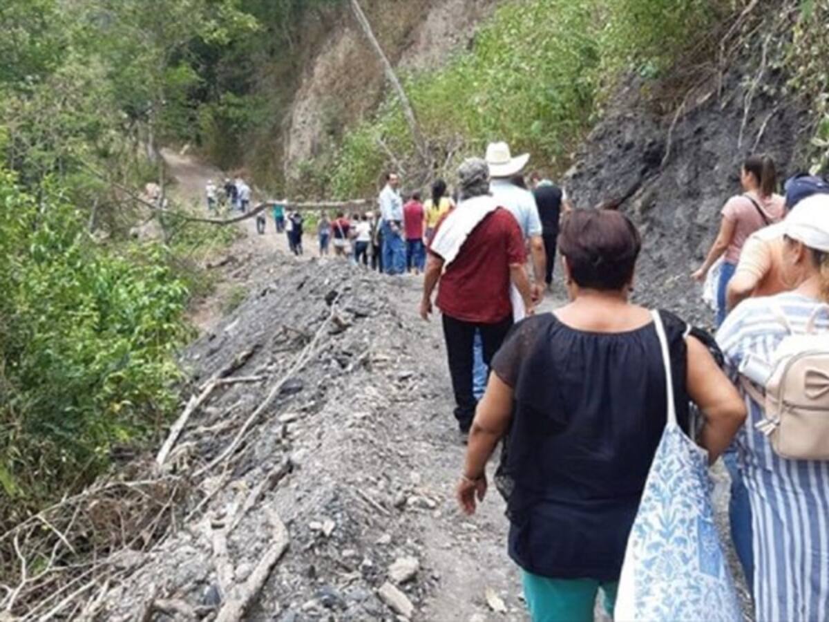 En lo que va del año se han reducido en 60% los incendios forestales en Quebradanegra