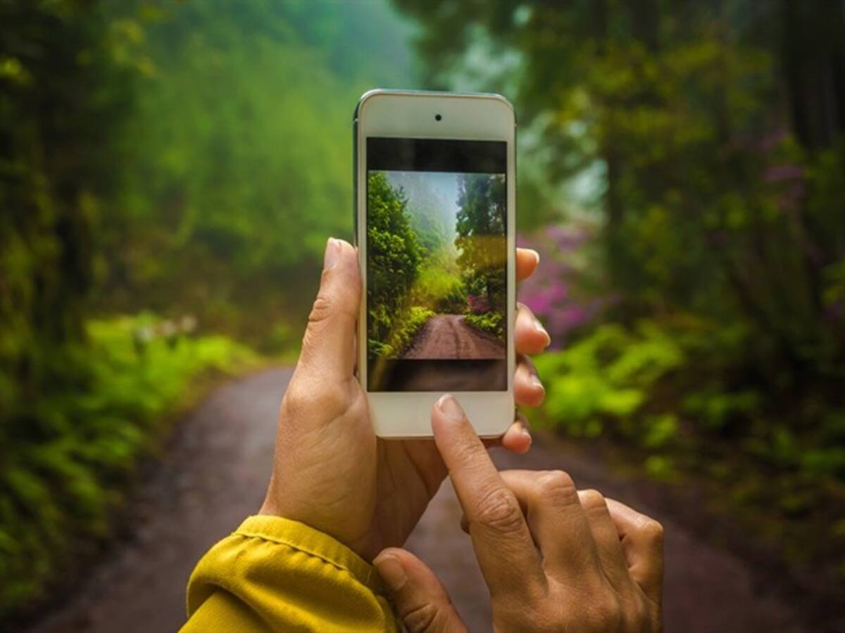 El traductor que busca preservar lenguas en peligro de extinción
