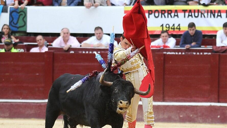 Corte Constitucional revive las corridas de toros en Colombia. Foto: Colprensa
