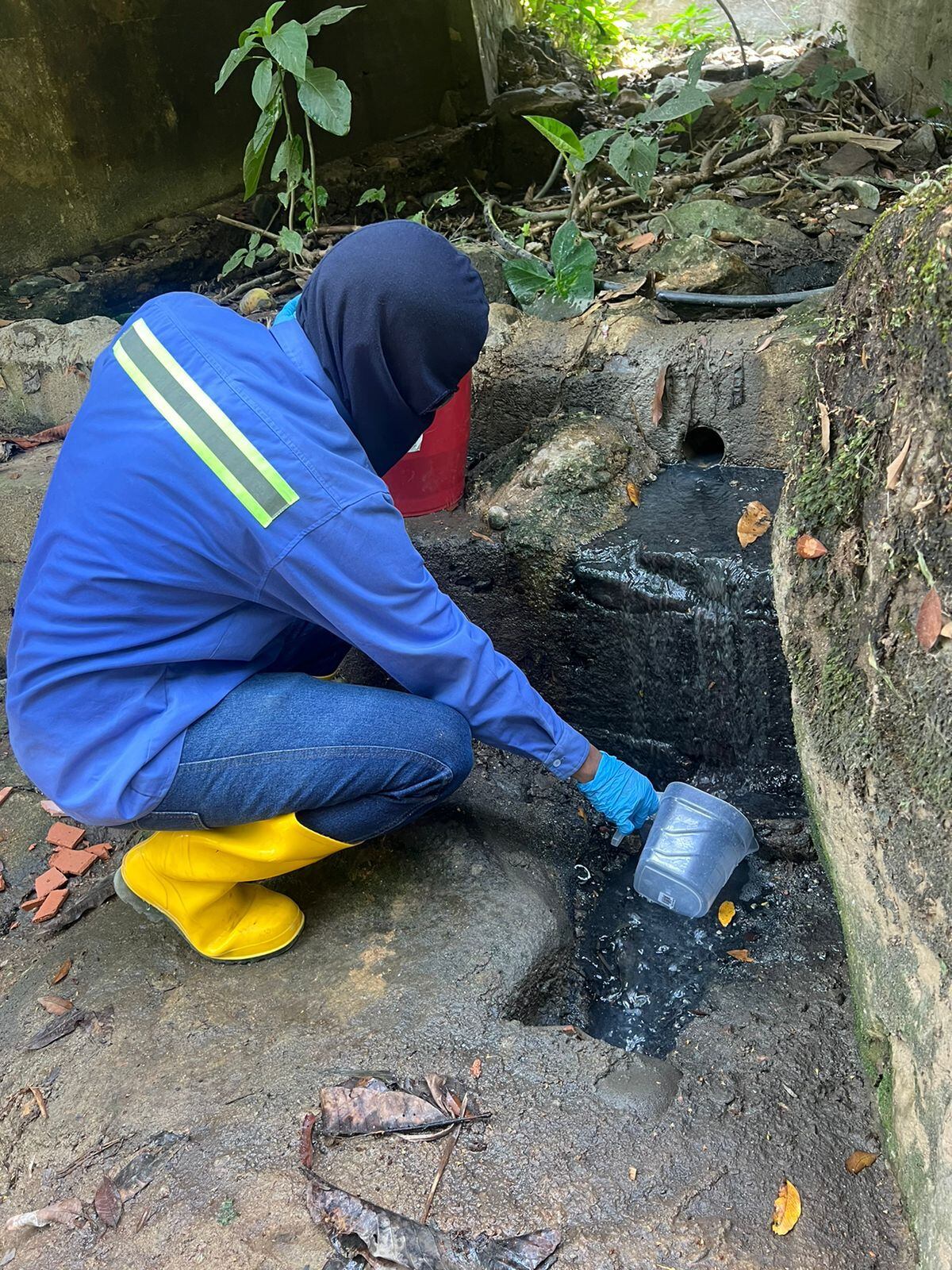 Toma de muestras/ Corpamag