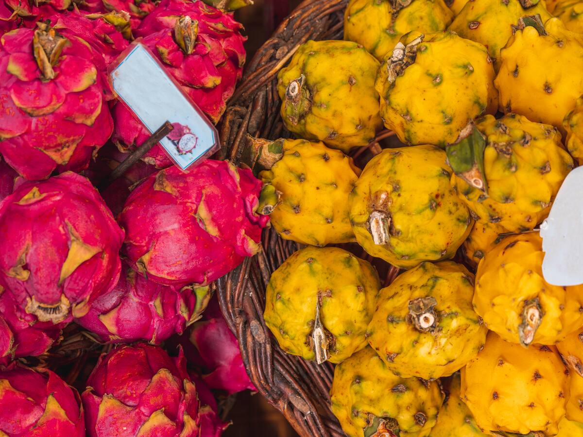 ¿Se escribe “pitahaya” o “pitaya”? Conozca las diferencias entre las palabras y las frutas