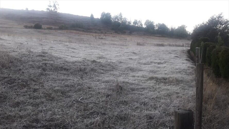 Se estima que siete municipios no hicieron el reporte final y no entrarán en la distribución de los recursos. Foto: W