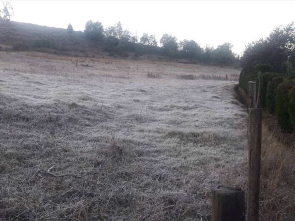 Gobierno cierra reportes de afectados por heladas en Boyacá