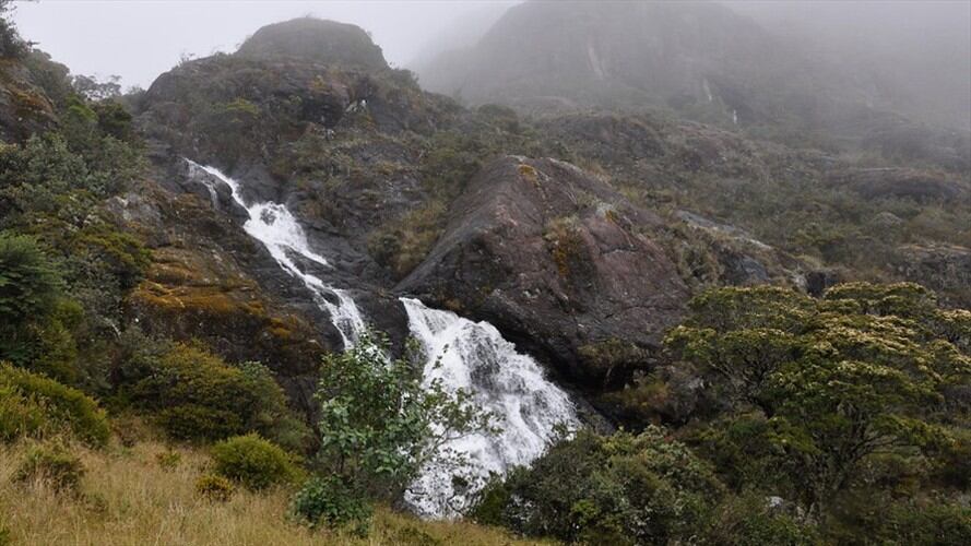 Piden acompañamiento del Ministerio Público en proceso de licencia ambiental de Minesa para proyecto minero en el páramo de Santurbán. Foto: Colprensa