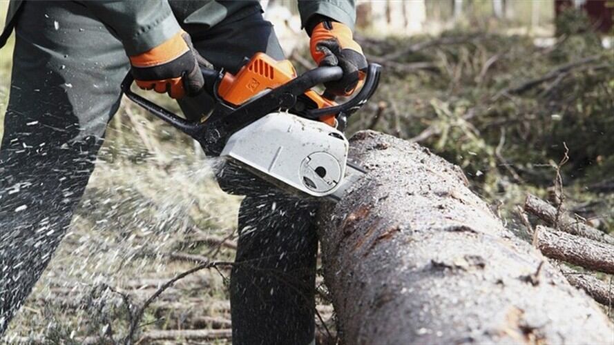Luis Enrique Pineda, asegura que unas 300 familias dependen de esta labor de la madera.. Foto: Getty Images