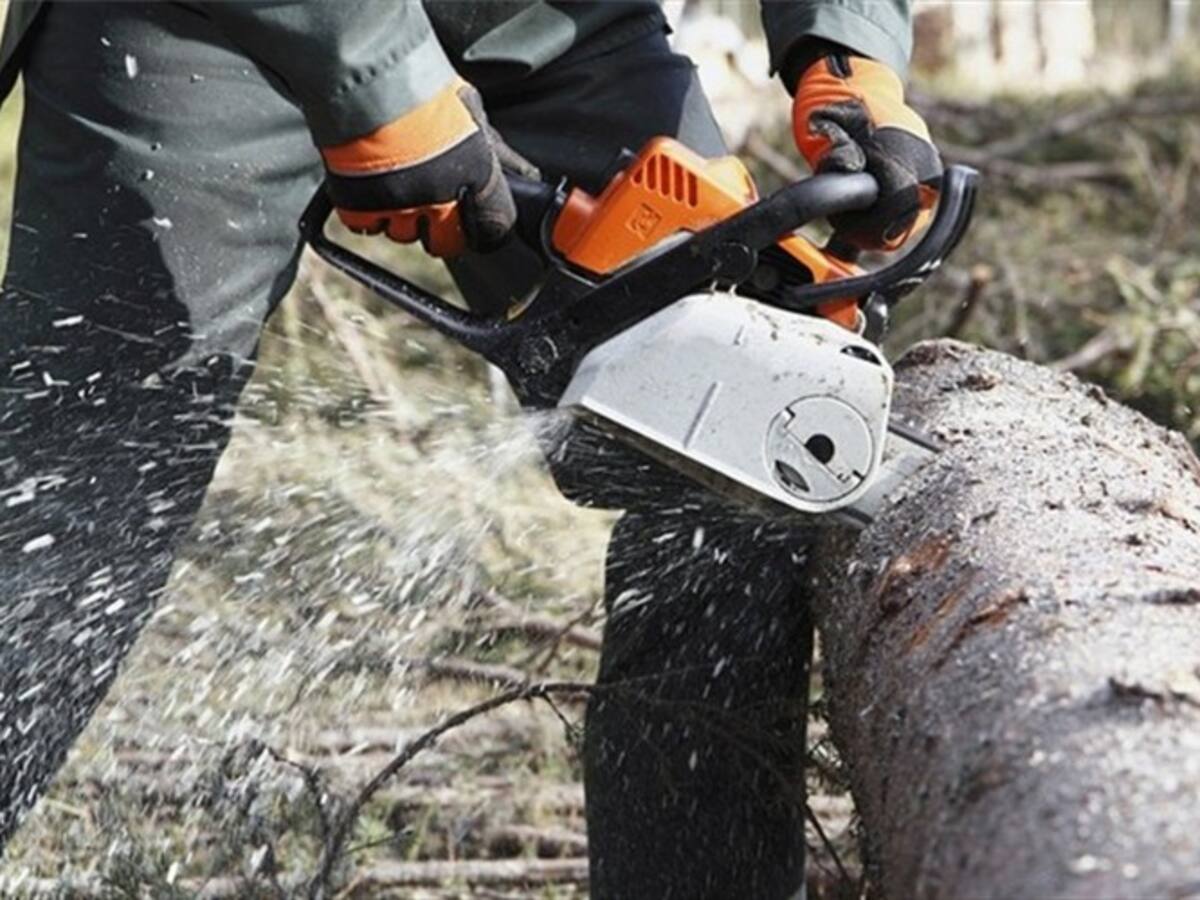 Madereros protestan en Serranía las Quinchas por falta de oportunidades laborales
