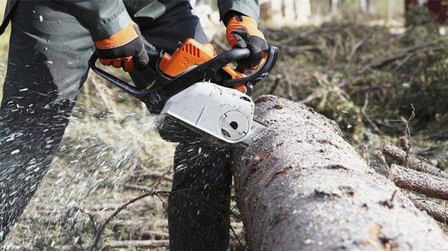 Luis Enrique Pineda, asegura que unas 300 familias dependen de esta labor de la madera.. Foto: Getty Images