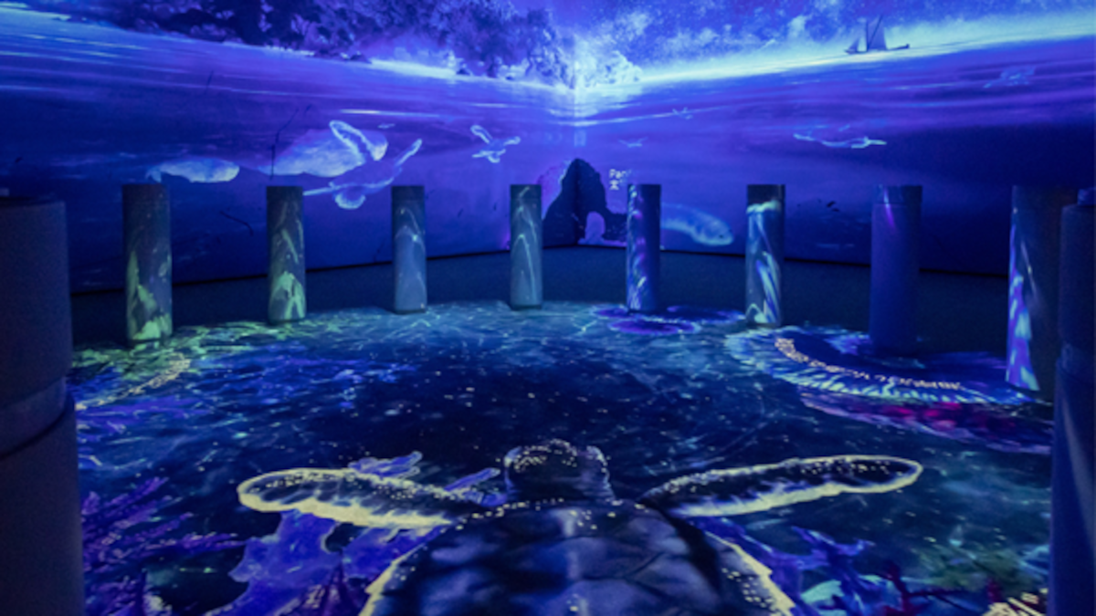 ProColombia impulsa la Macrorrueda Internacional “Colombia, país de la belleza” en Expo Osaka 2025