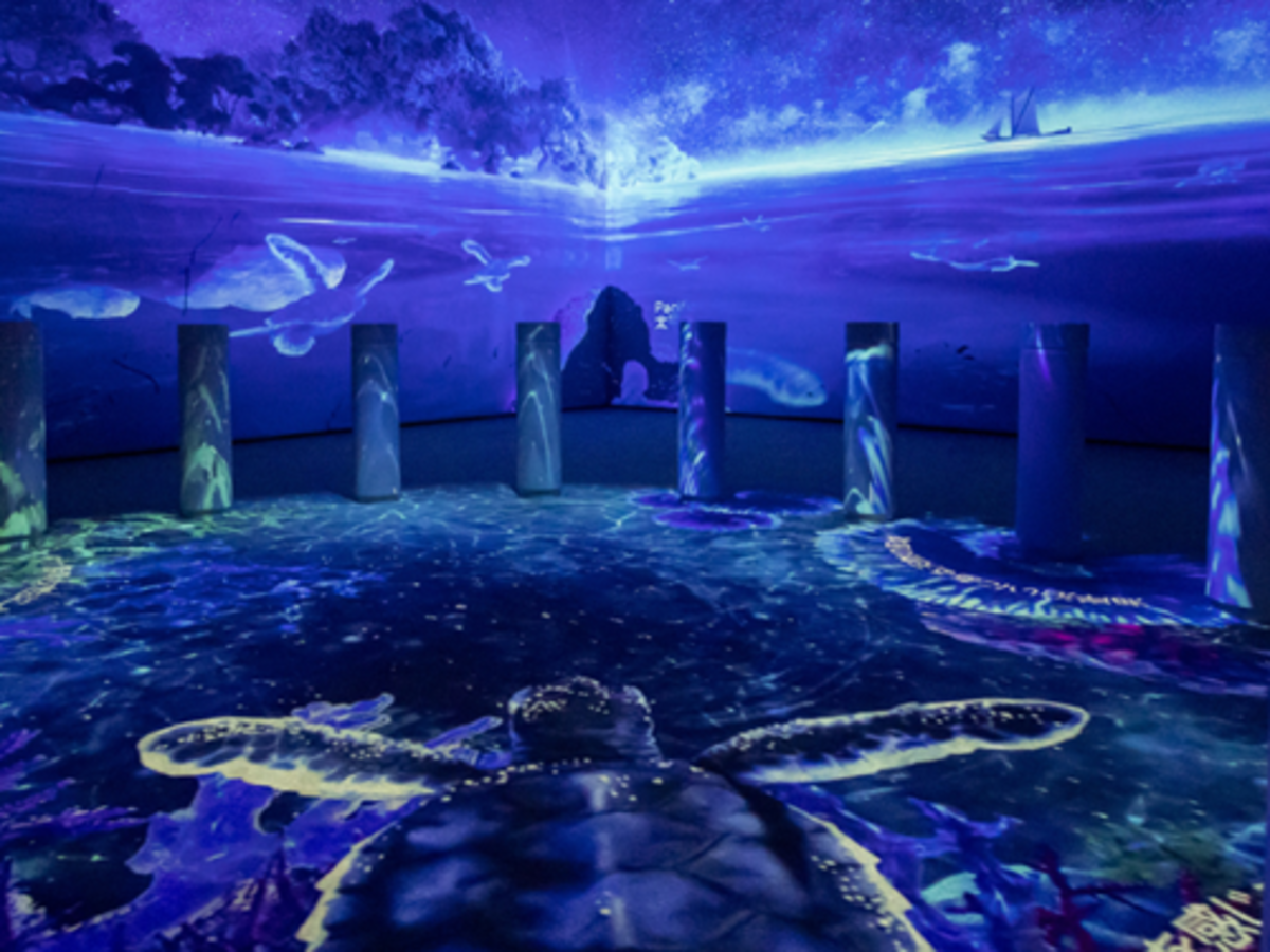 ProColombia impulsa la Macrorrueda Internacional “Colombia, país de la belleza” en Expo Osaka 2025