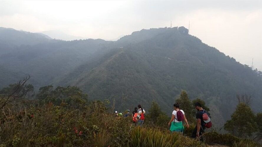 La Fundación Cerros de Bogotá lanzó la campaña ‘Los cerros nos salvan’. Foto: Twitter: @CerrosdeBogota