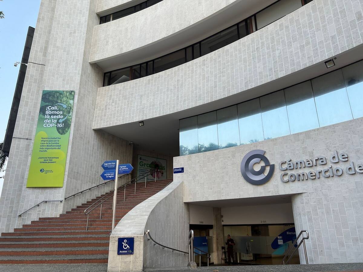 Optimismo empresarial en Cali y expectativa por COP16