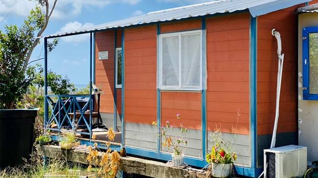 Susana Correa, directora de Prosperidad Social, manifestó en Sigue La W que en viviendas nuevas están retrasados. . Foto: Colprensa