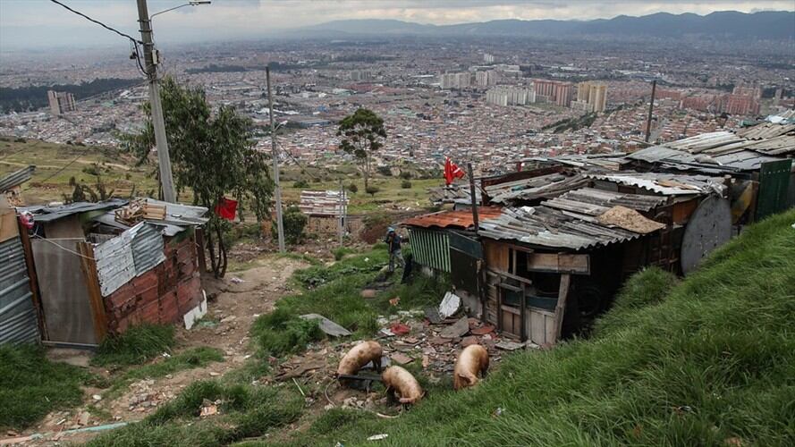 Imagen de referencia. Foto: Colprensa - Camila Díaz