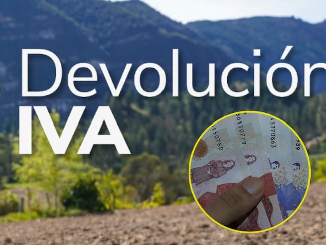 Devolución de IVA. Foto: Getty Images.