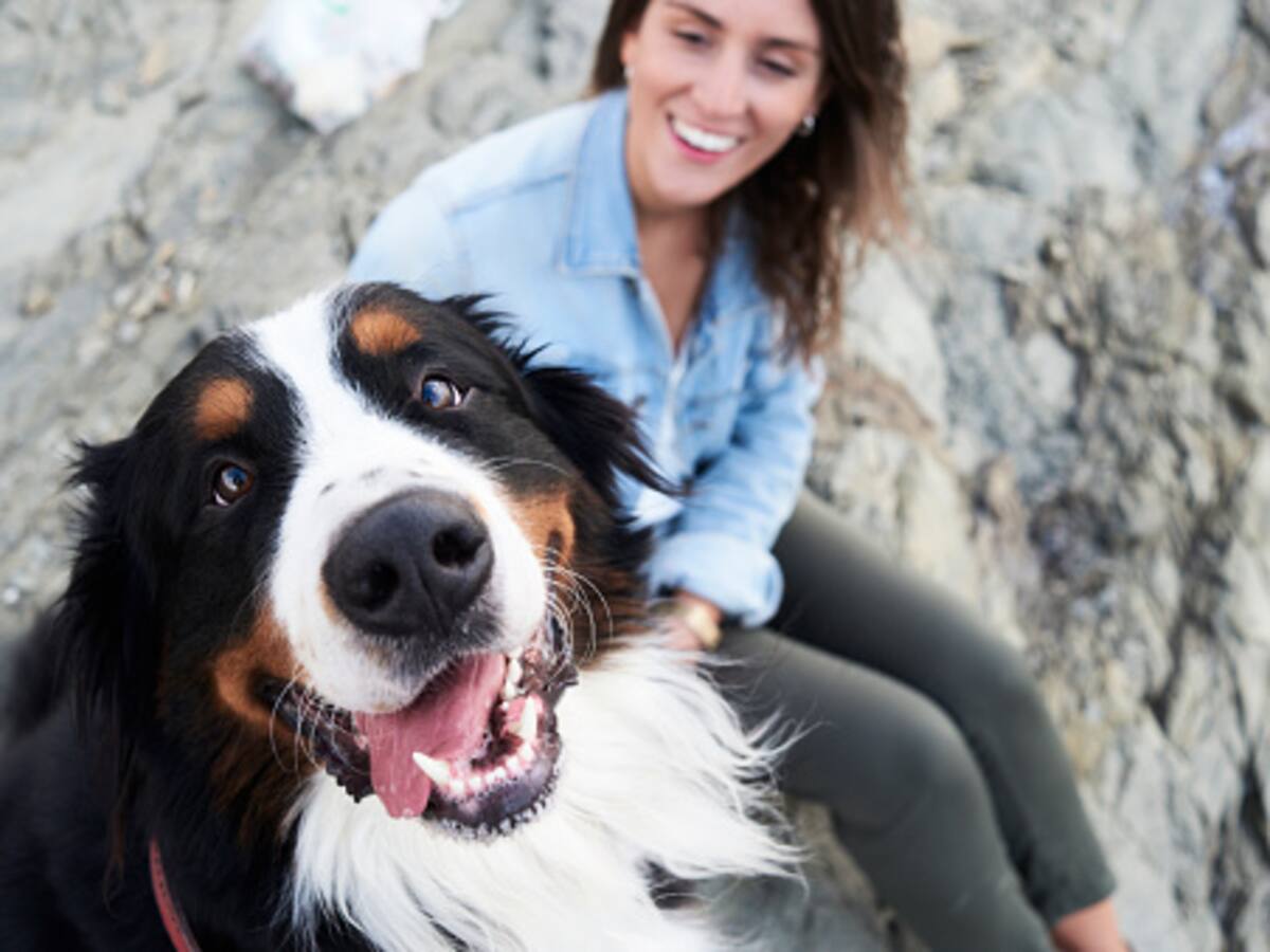 ¿Mi perro es feliz? Las posturas que identifican el estado de ánimo de su mascota