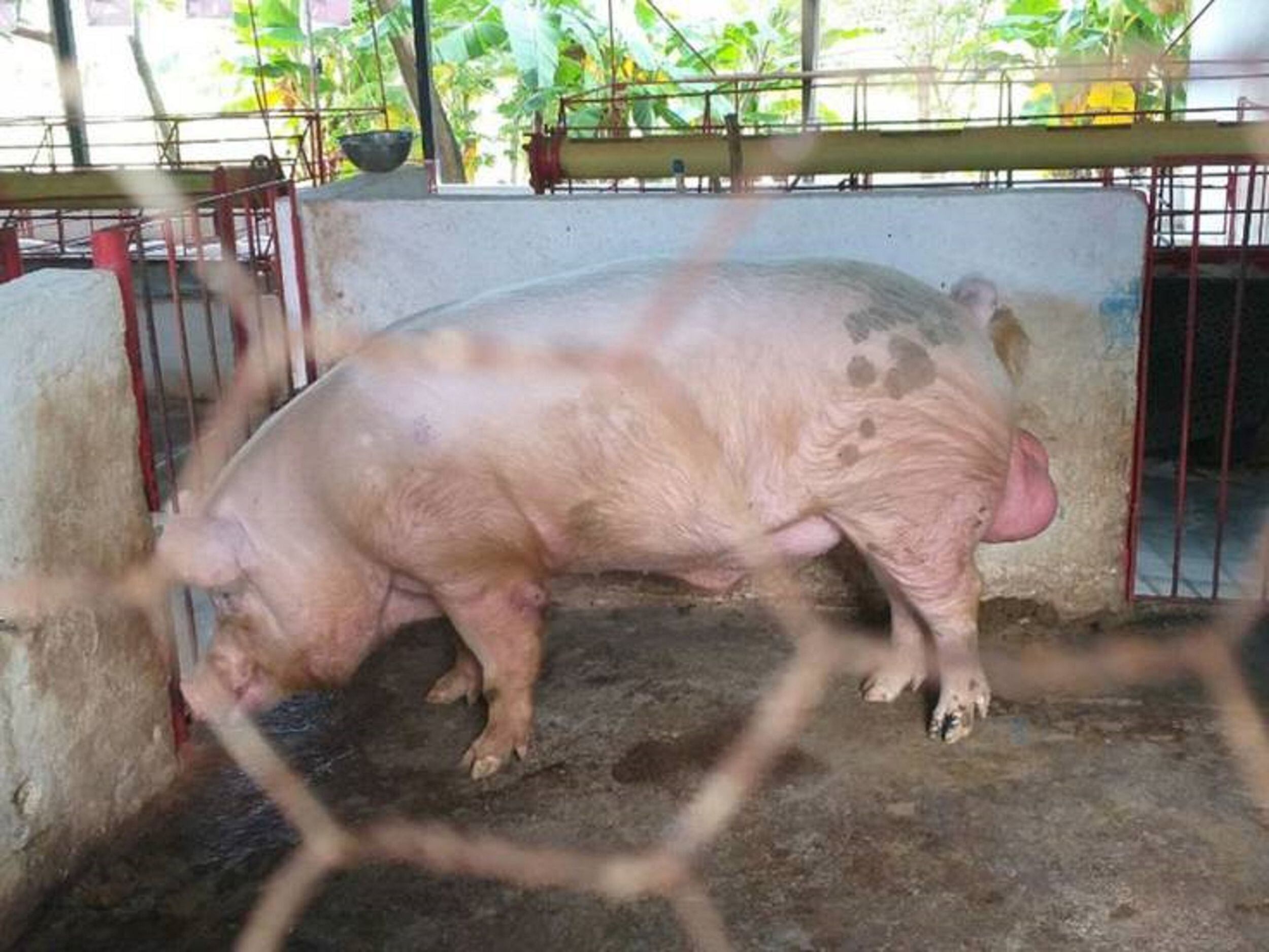 Cortesía: CAM(Cortesía: CAM)