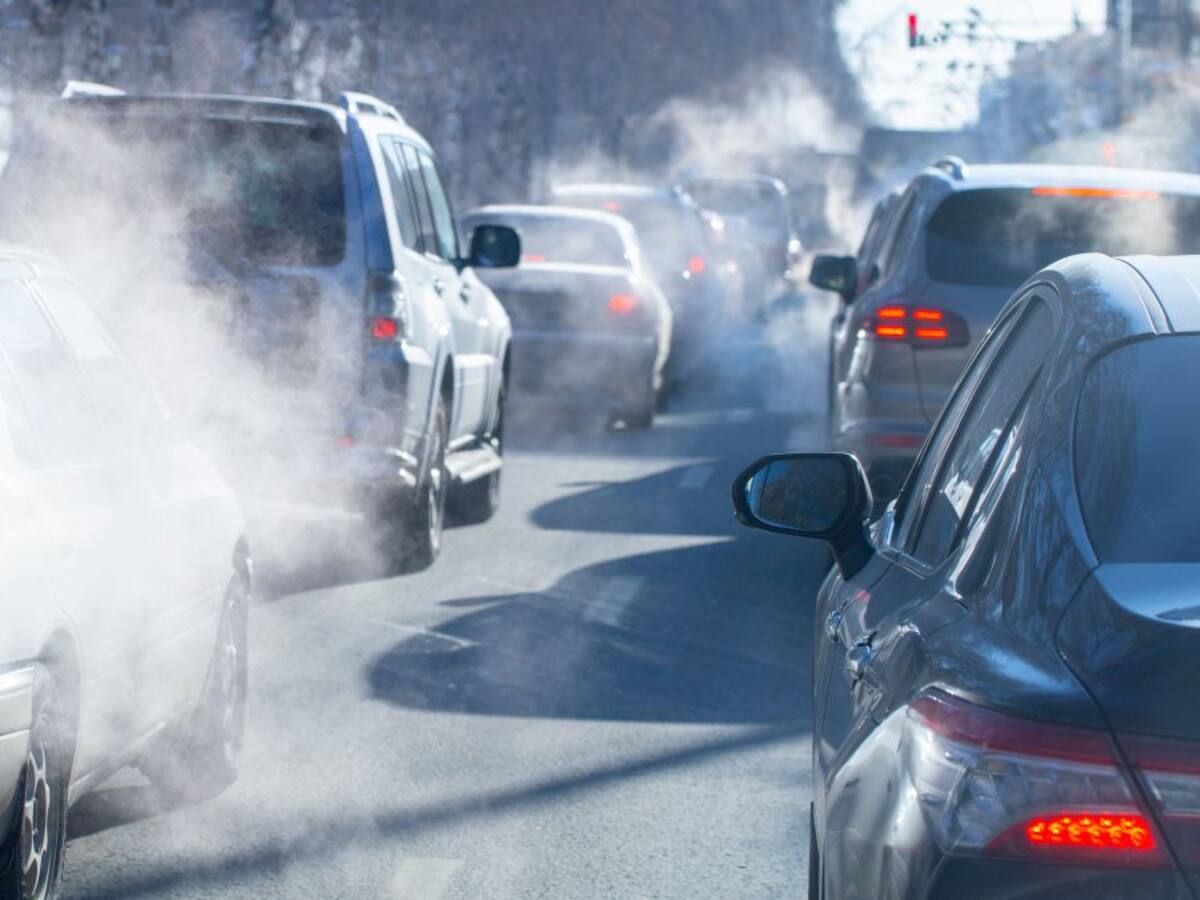 “Es necesario reformular la red de transportes públicos”: ecologista Salvador Rueda