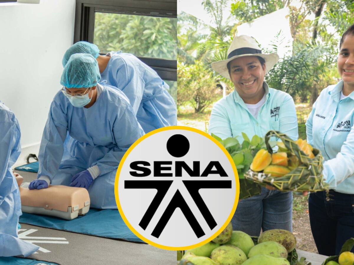 SENA abrió convocatoria para estudiar gratis: inscríbase a enfermería, cocina y más, paso paso