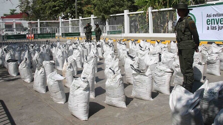 Imagen de referencia. Foto: Colprensa