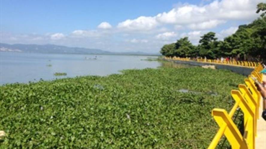 Embalse del Guájaro presente crecimiento, Cortesía.