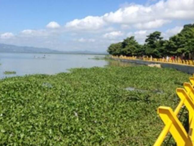 Embalse del Guájaro presente crecimiento, Cortesía.