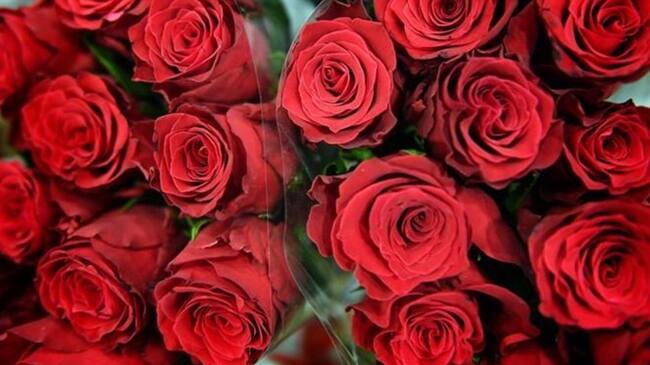 ¿Cómo alargar la vida de las flores que te regalaron para San Valentín?. Foto: BBC Mundo