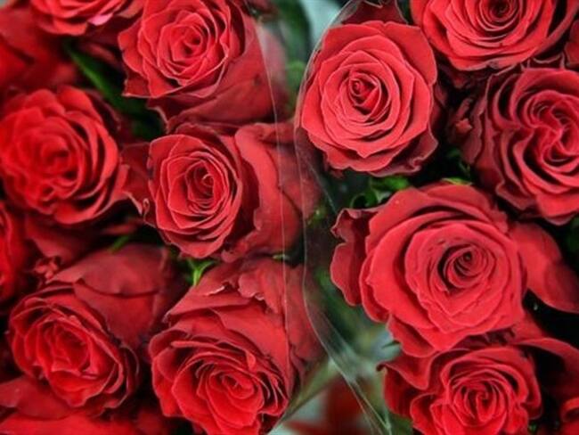 ¿Cómo alargar la vida de las flores que te regalaron para San Valentín?. Foto: BBC Mundo