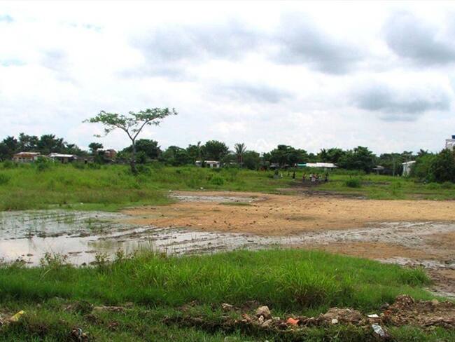 Fallo de la Corte abriría la puerta para la adjudicación de baldíos. Foto: Colprensa.