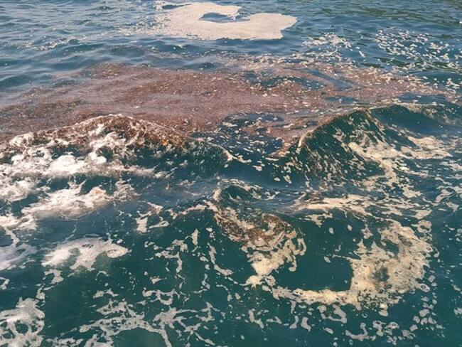 Muestras de contaminación en el mar Caribe. Foto: Redacción W Radio