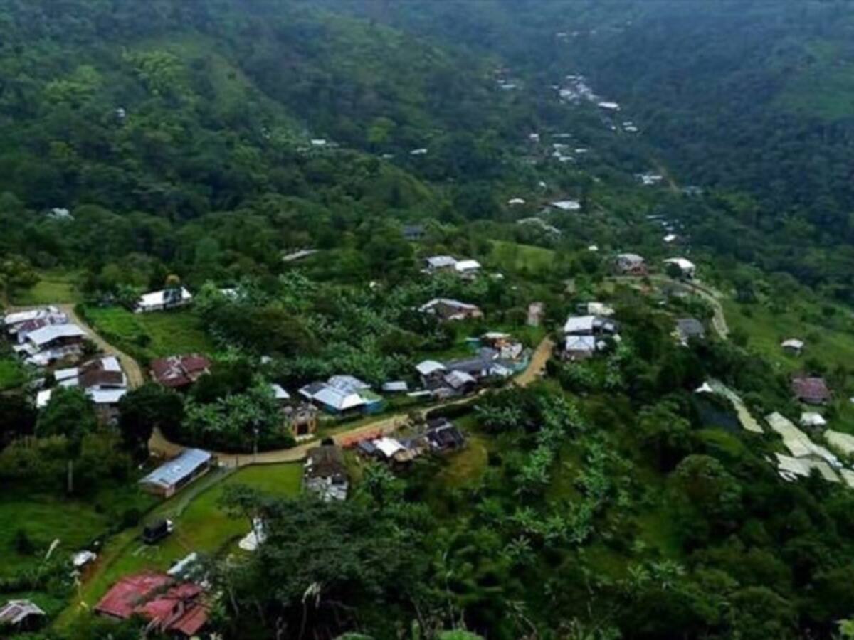 La innovación ecológica en Palmira se traduce en procesos de riego intrapredial