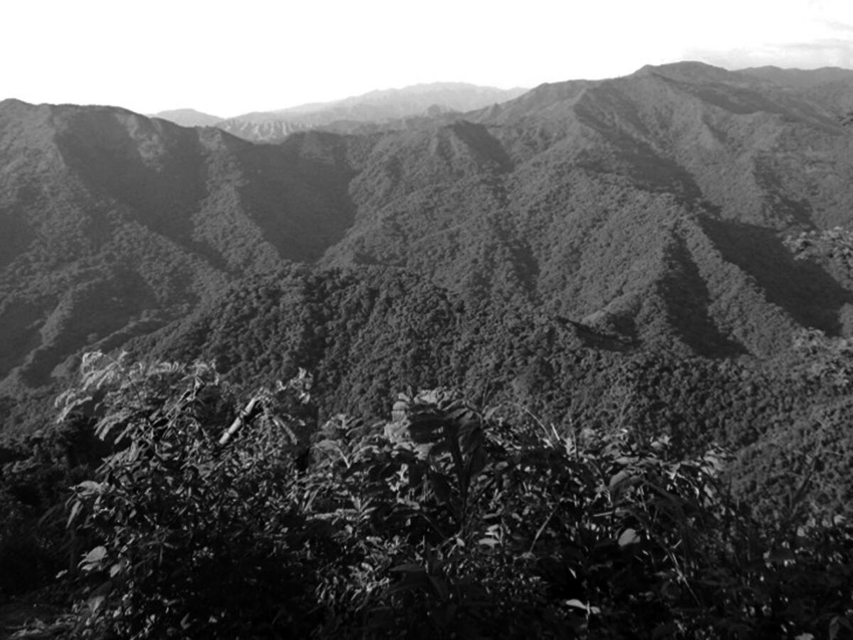 Unidad de Restitución de Tierras rechaza asesinato de hijo del líder social