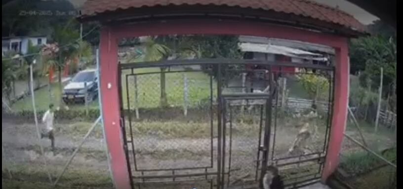 Pantallazo de una cámara de seguridad en que el presunto victimario persigue a la menor huyendo a una casa vecina.