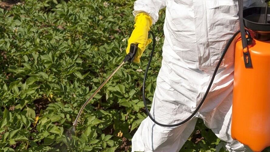 Según el gobernador de Boyacá, Ramiro Barragán, la iniciativa también está encaminada a que el Gobierno Nacional sustituya la importación de alimentos.. Foto: Getty Images