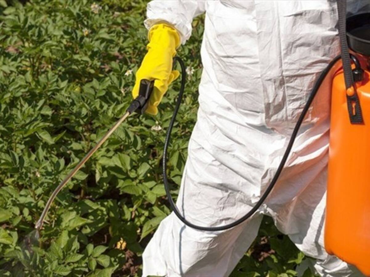 Más de 1.115 productores de 59 municipios de Boyacá recibieron semillas, abonos e insumos