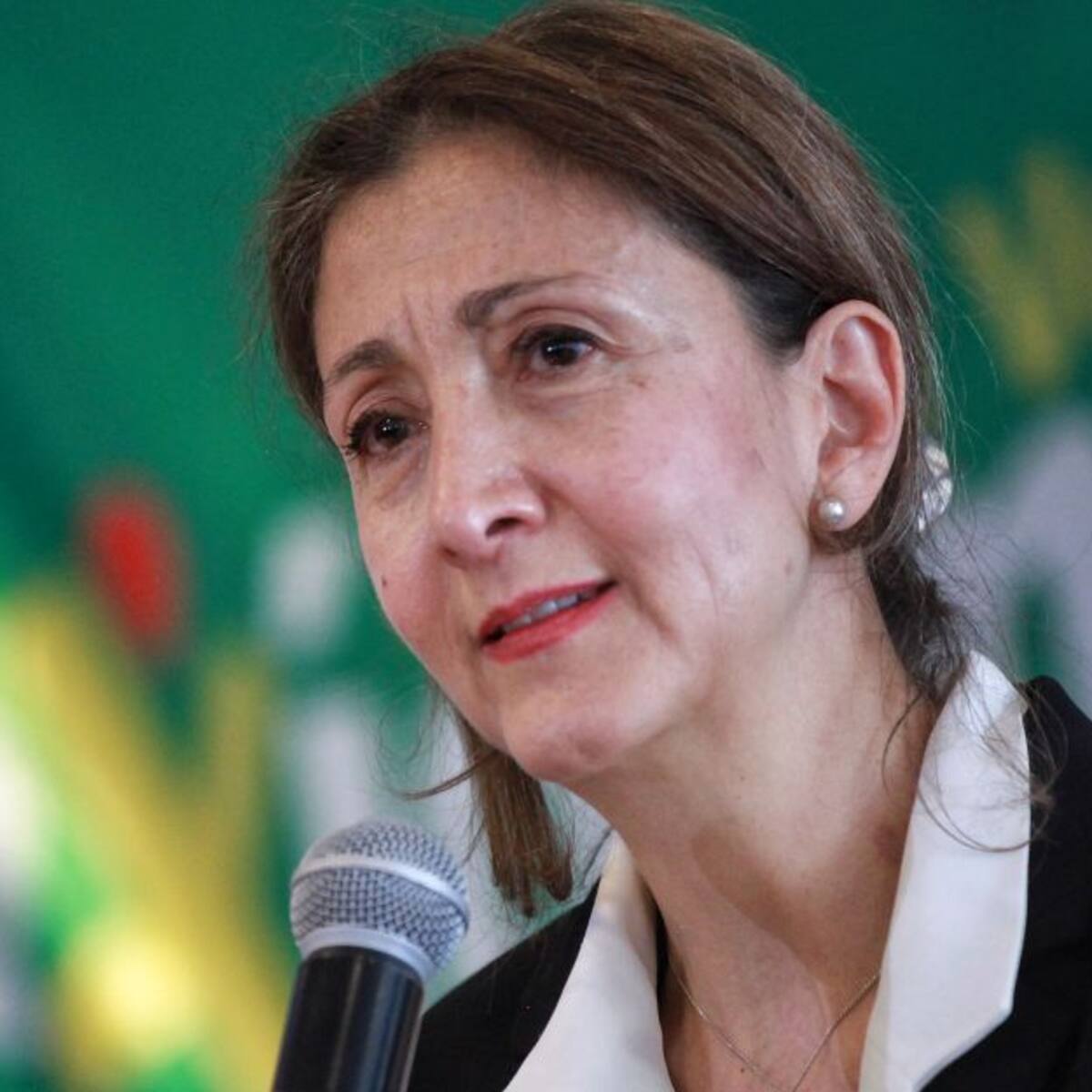 Consejo de Estado admite demanda contra personería jurídica de Verde Oxígeno