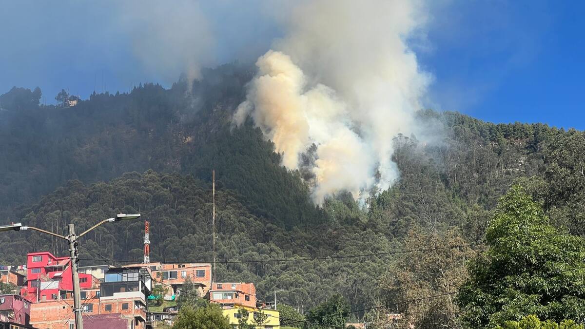 VIDEOS: Las impactantes imágenes del incendio forestal en el cerro El Cable en Bogotá