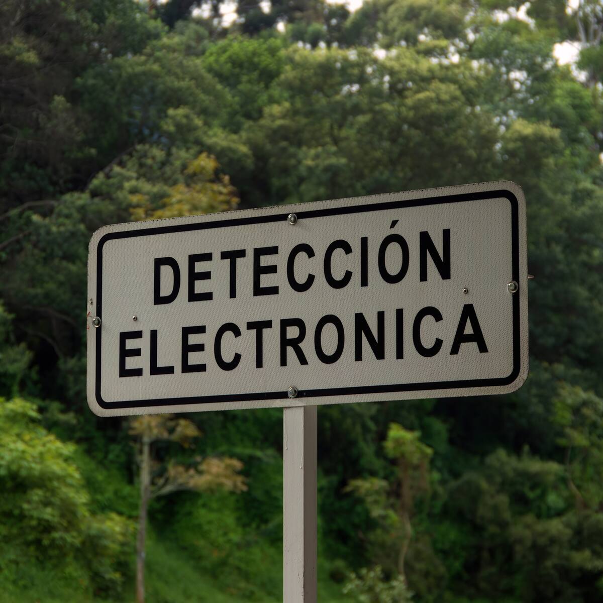 ¿Aumentará el límite de velocidad en algunas avenidas de Bogotá?