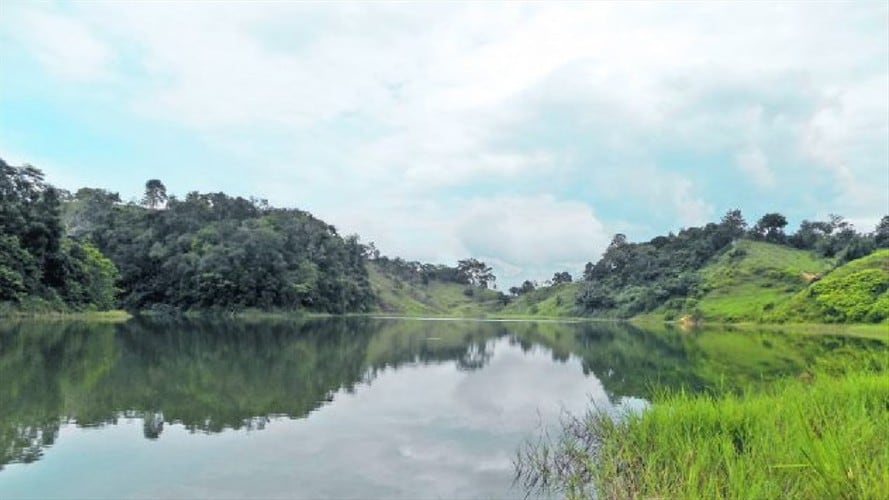 Homicidio en la vereda Galápagos.. Foto: Suministrada.